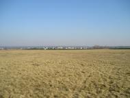 Вишеньки з panoramio.com