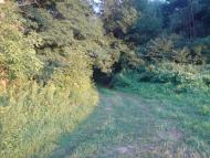 Чома з panoramio.com