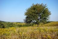 Повча з panoramio.com