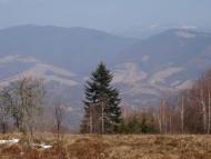 Вишка з panoramio.com