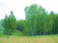 Антонівка з panoramio.com