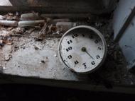 Скрипалі з panoramio.com