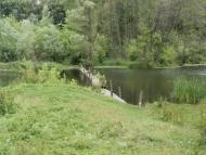 Березна з panoramio.com