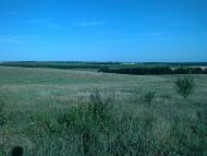 Василівка з panoramio.com