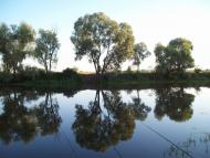 Проців - Останні фото