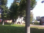 Густиня з panoramio.com