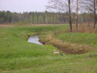 Лісове - Останні фото