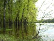 Макошине з panoramio.com