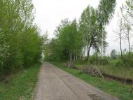 Березна з panoramio.com