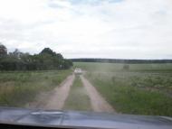 Українське - Останні фото