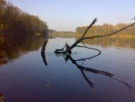 Велика Любаша з panoramio.com