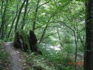 Слобода-Бушанська з panoramio.com