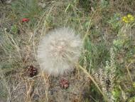 Рудківці з panoramio.com