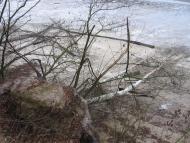 Залізняк з panoramio.com