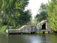 Вишеньки з panoramio.com