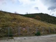 Семидвір'я з panoramio.com