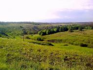 Новосолдатське з panoramio.com