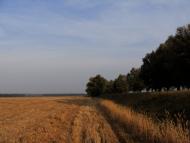 Довгалівське - Останні фото