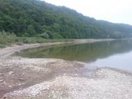 Гринячка - Останні фото