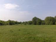 Маслівка - Останні фото