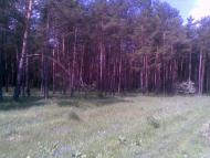 Баранне з panoramio.com