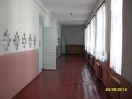 Болотниця з panoramio.com