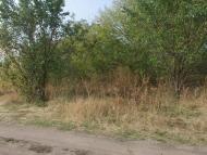 Кружилівка з panoramio.com