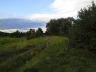 Федорівка з panoramio.com