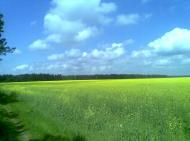 Баранне - Останні фото