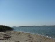 Забарине з panoramio.com