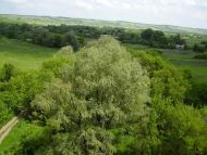 Фрунзе з panoramio.com