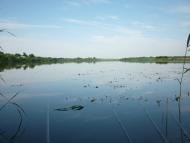 Великі Коровинці з panoramio.com