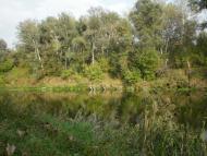 Завгороднє з panoramio.com