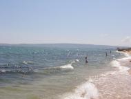 Берегове з panoramio.com