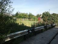 Torfyane - Latest photos