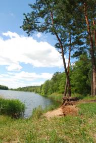 Стригани з panoramio.com