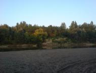 Чома з panoramio.com