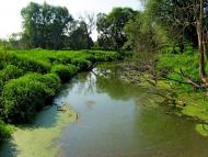 Кустин з panoramio.com