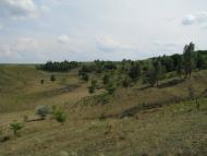 Черняхів з panoramio.com