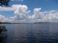 Елизаветовка - Последние фото