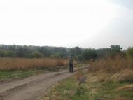 Кружилівка з panoramio.com