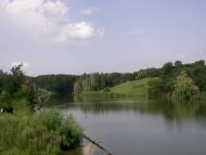 Шляхове з panoramio.com