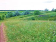 Антонівка з panoramio.com