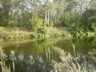 Завгороднє з panoramio.com