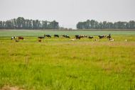 Хотімля з panoramio.com