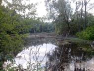 Великі Сорочинці з panoramio.com - Великие Сорочинцы