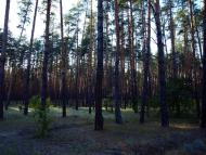 Студенок з panoramio.com