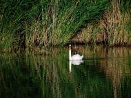 Волна - Последние фото