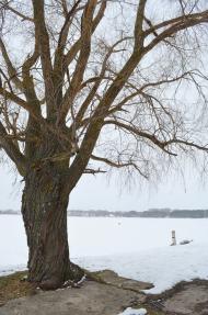 Гавронщина з panoramio.com