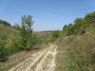 Трудове - Останні фото